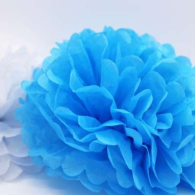 Party decoration tissue paper pom pom flower wall 30cm size 12inch ready stock fast delivery