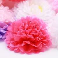 Tissue Hanging Paper Pom-poms, Flower Ball Wedding Party Outdoor Decoration Premium Tissue Paper Pom Pom Flowers